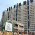 Residential Apartment 4 Bhk  Rent Sector 54 Gurgaon